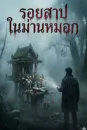 รอยสาปในม่านหมอก
