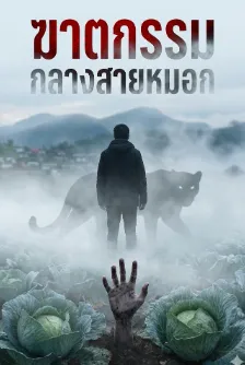 ฆาตกรรมกลางสายหมอก